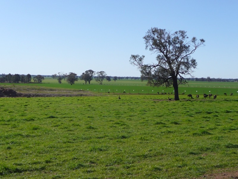 Telford VIC 3730