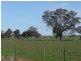 Telford VIC 3730