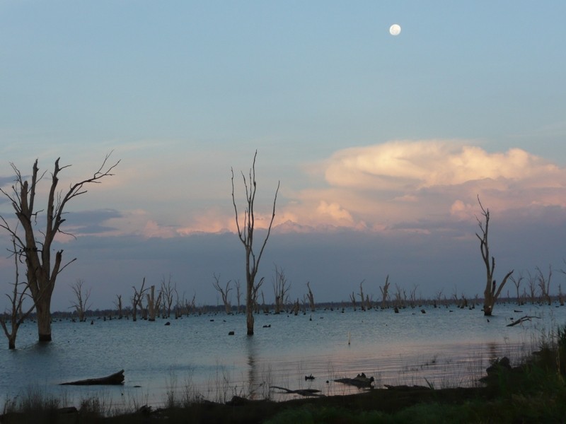 Lot 1,  Murray Valley Highway, Yarrawonga VIC 3730