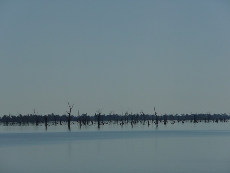 4/35 Bank Street, Yarrawonga VIC 3730