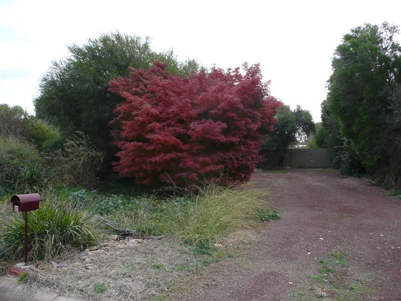 20 Campbellfield Drive, Yarrawonga VIC 3730