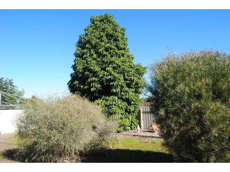 Yarrawonga VIC 3730