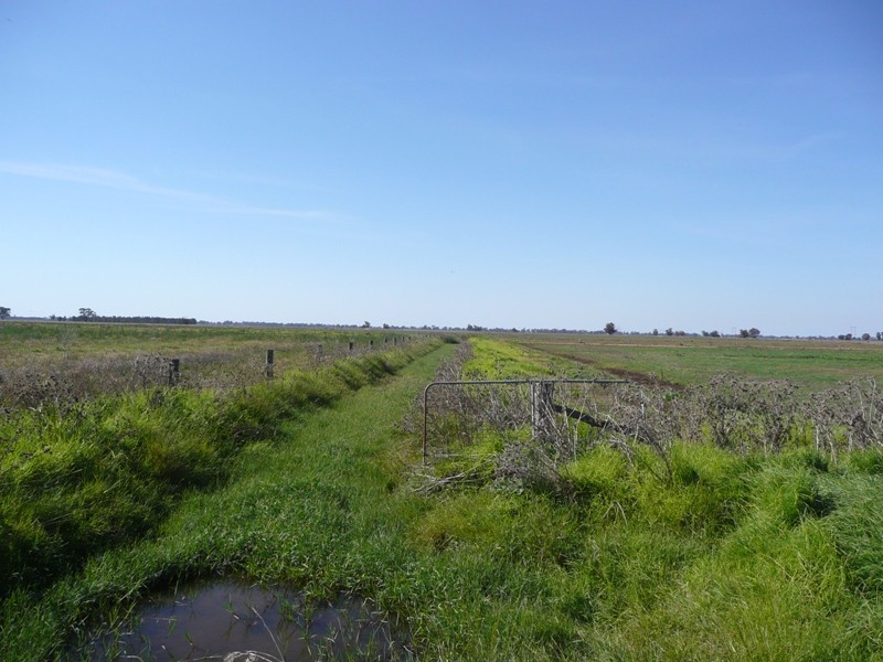 “Mayfield” Bull Plain Road, Mulwala NSW 2647