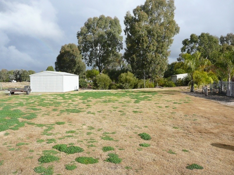 20 Wanani Road, Mulwala NSW 2647