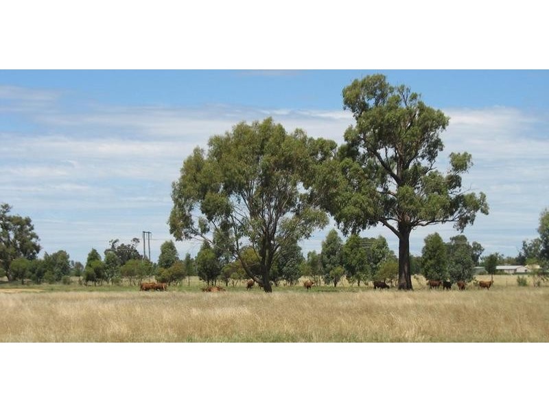 Lot 109 Little Bull Plain Road, Mulwala NSW 2647