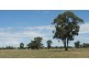 Lot 109 Little Bull Plain Road, Mulwala NSW 2647
