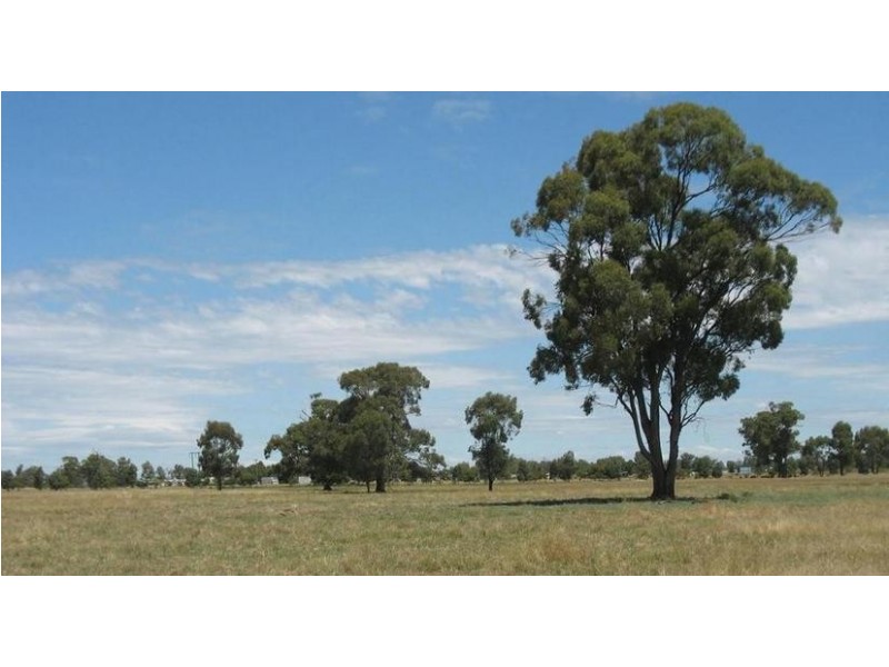Lot 109 Little Bull Plain Road, Mulwala NSW 2647