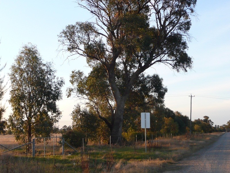 Lot 109 Little Bull Plain Road, Mulwala NSW 2647