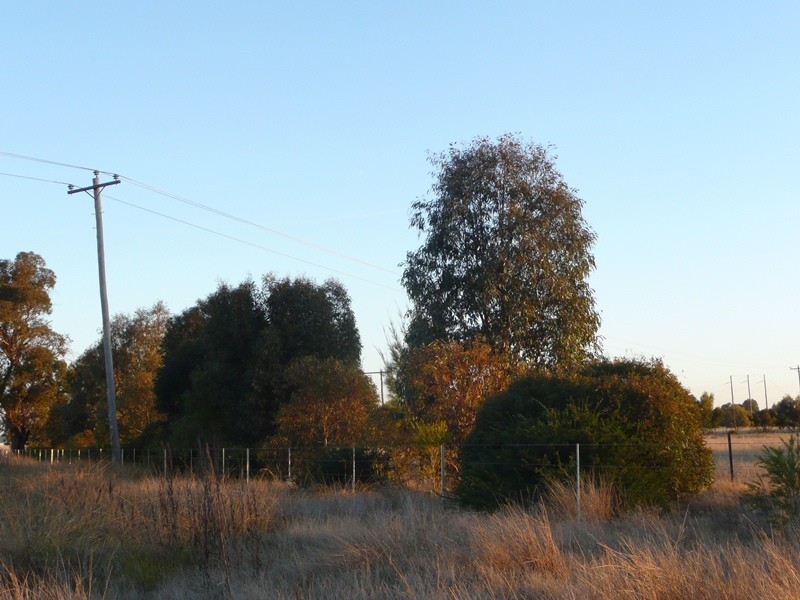 Lot 109 Little Bull Plain Road, Mulwala NSW 2647