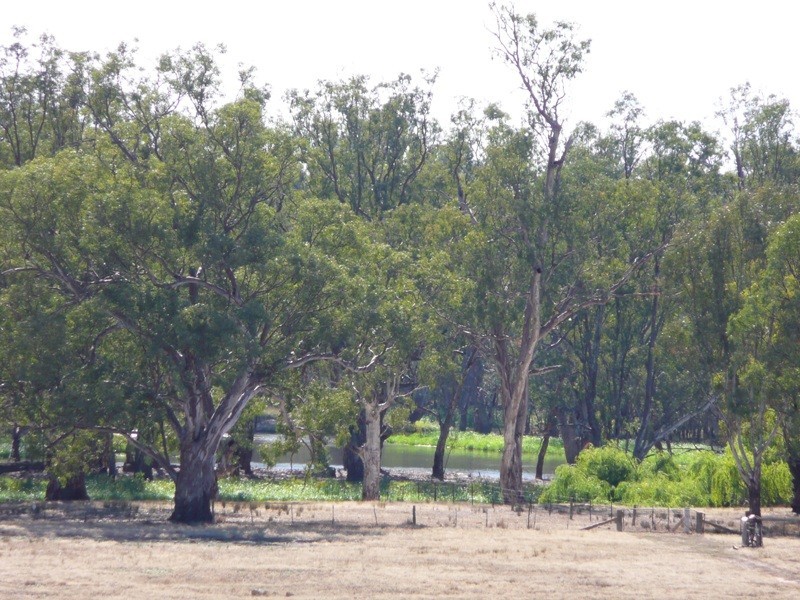 3346 Wangaratta Yarrawonga Road, Bundalong VIC 3730