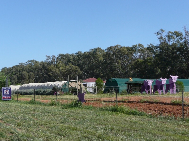 1880 Murray Valley Highway, Yarrawonga VIC 3730