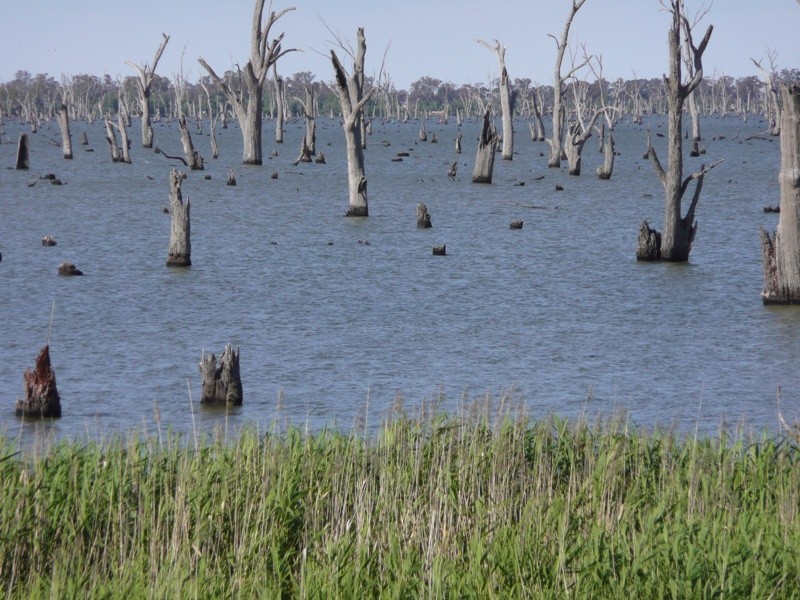 Lot 1-6,  Murray Valley Highway, Yarrawonga VIC 3730