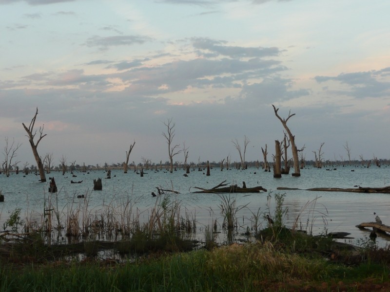 Lot 1-6,  Murray Valley Highway, Yarrawonga VIC 3730