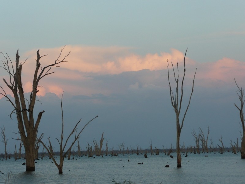 Lot 1-6,  Murray Valley Highway, Yarrawonga VIC 3730