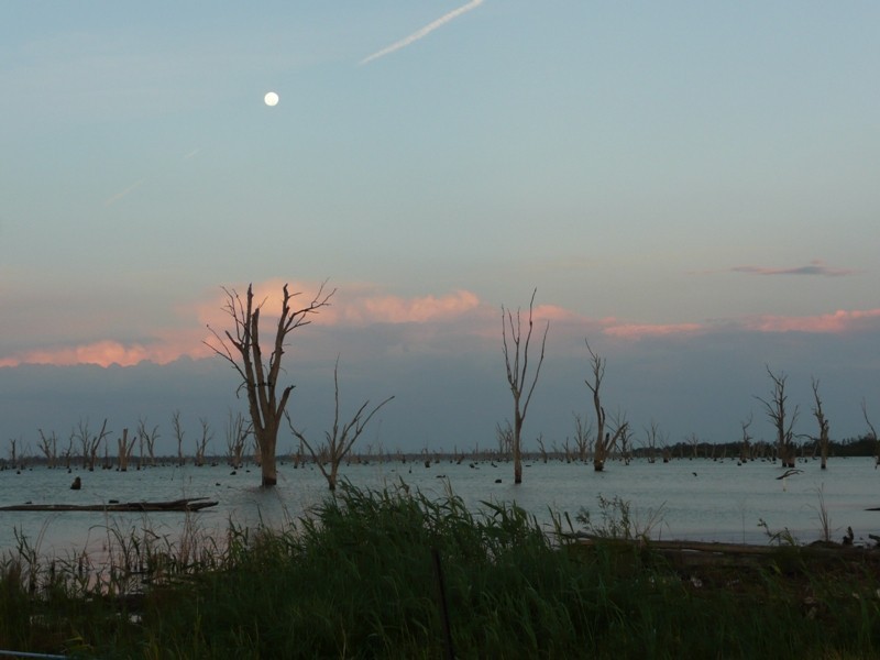 Lot 1-6,  Murray Valley Highway, Yarrawonga VIC 3730