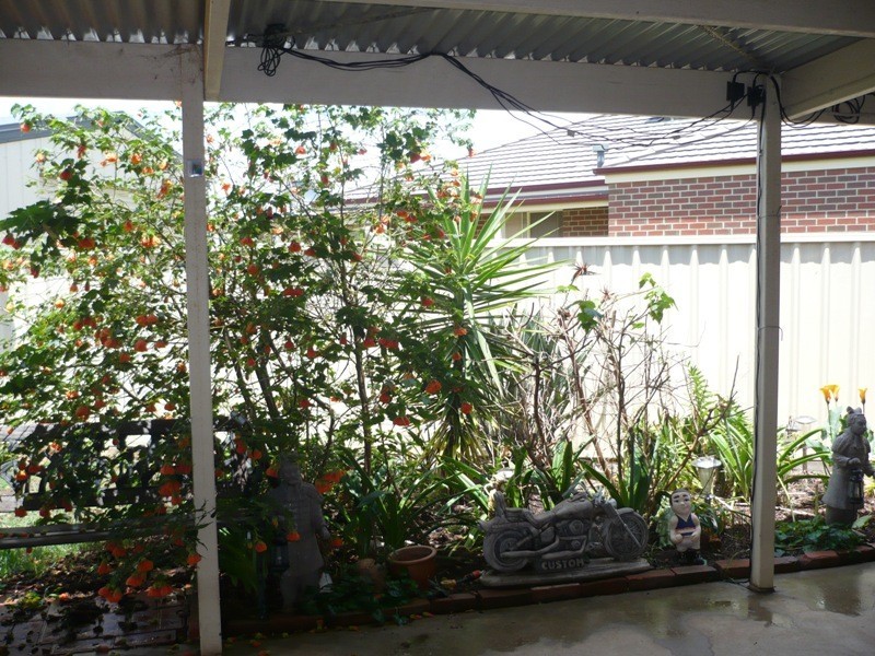 14 Sunshine Boulevard, Mulwala NSW 2647