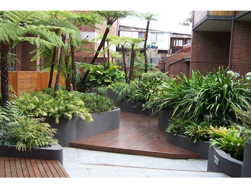 26/13-15 Oxford Street, Paddington NSW 2021