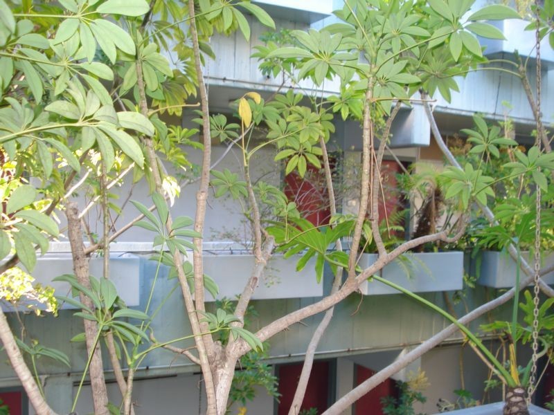 47/68-70 Roslyn Gardens, Elizabeth Bay NSW 2011