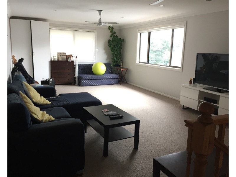 17 Watson Street, Bondi NSW 2026