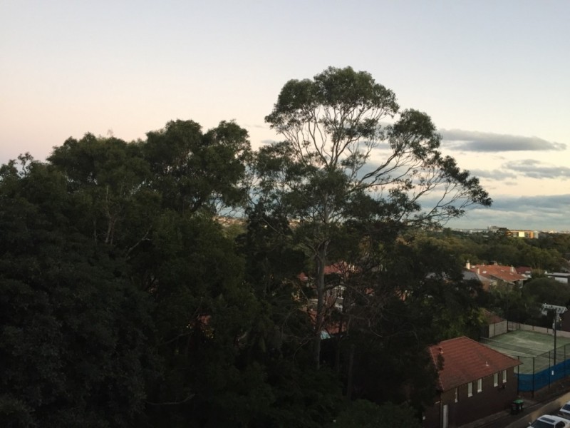 21/57-67 Cook Road, Centennial Park NSW 2021