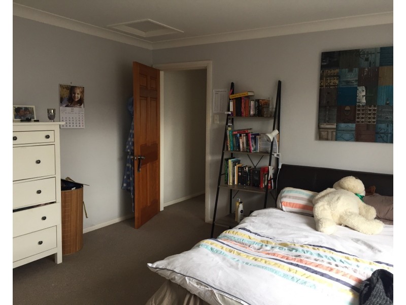 17 Watson Street, Bondi NSW 2026