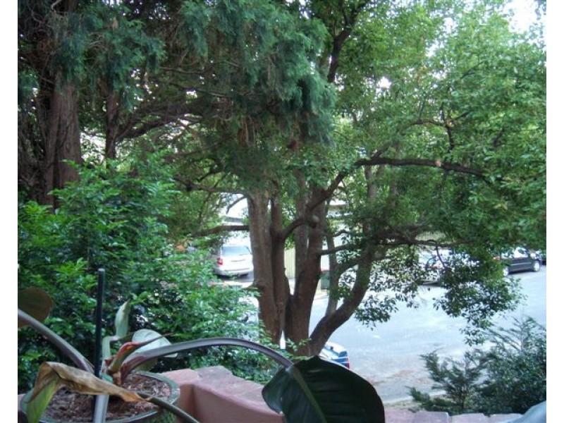 6/128 Francis Street, Bondi NSW 2026