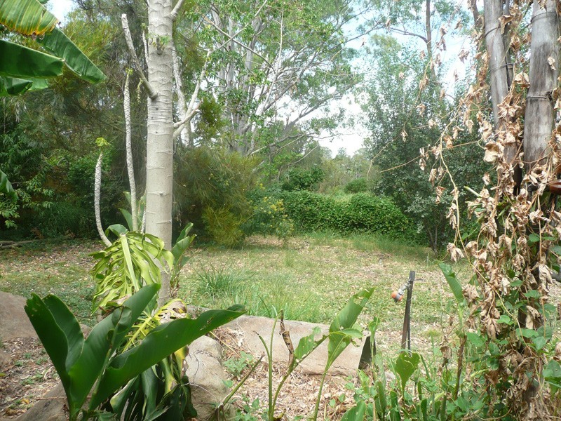 14 Wilpowell Street, Oxley QLD 4075