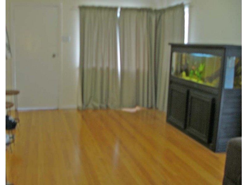 49 Colwel Street, Oxley QLD 4075