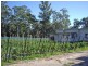 432 Waterford Road, Ellen Grove QLD 4078