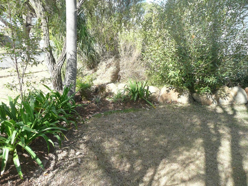 17 Ingham Street, Oxley QLD 4075