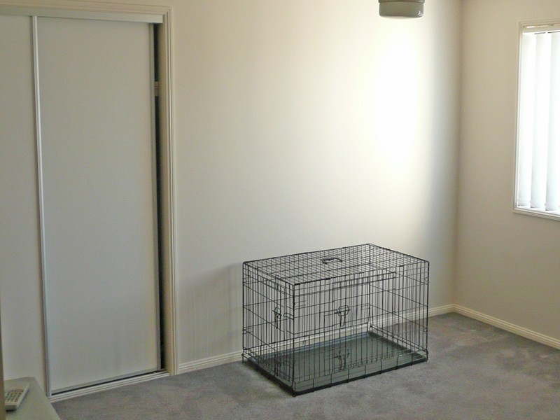 1 Michael Place, Oxley QLD 4075