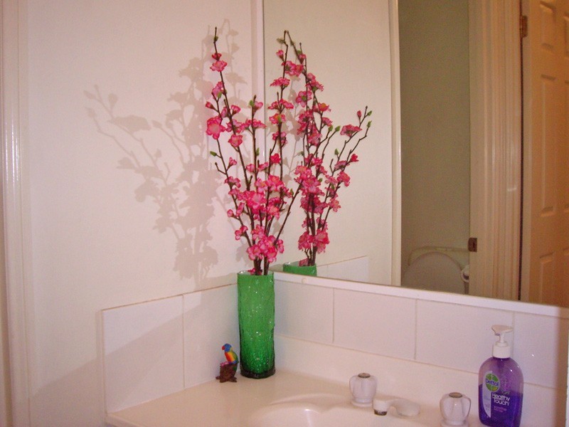 12 Birkenhead Crescent, Forest Lake QLD 4078