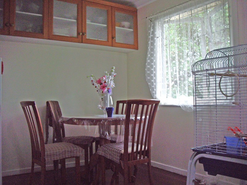 43 Sittella Street, Inala QLD 4077