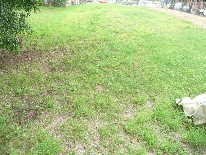 36 Shamrock Road, Darra QLD 4076