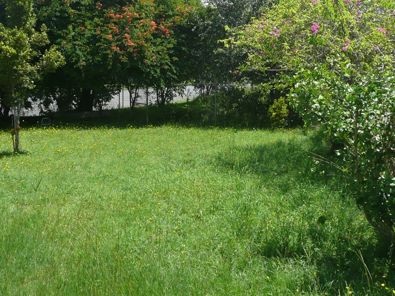 104 Darra Avenue, Darra QLD 4076