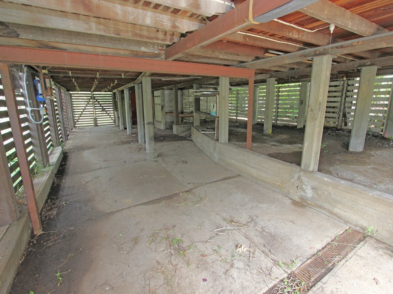 19 Ingham Street, Oxley QLD 4075