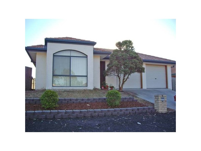 19 Kurrajong Street, Durack QLD 4077