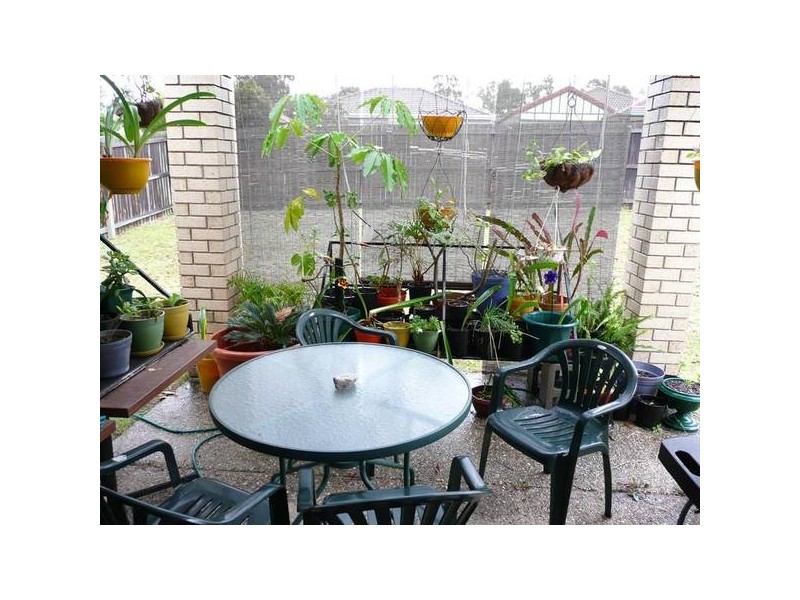 8 Tivoli Place, Forest Lake QLD 4078