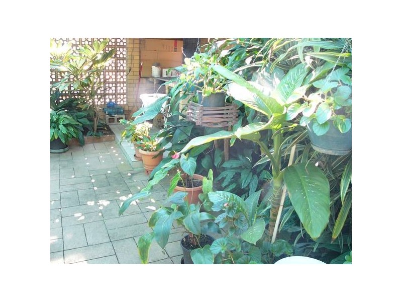 8 Deniven Street, Corinda QLD 4075