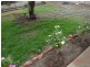 Tumby Bay SA 5605