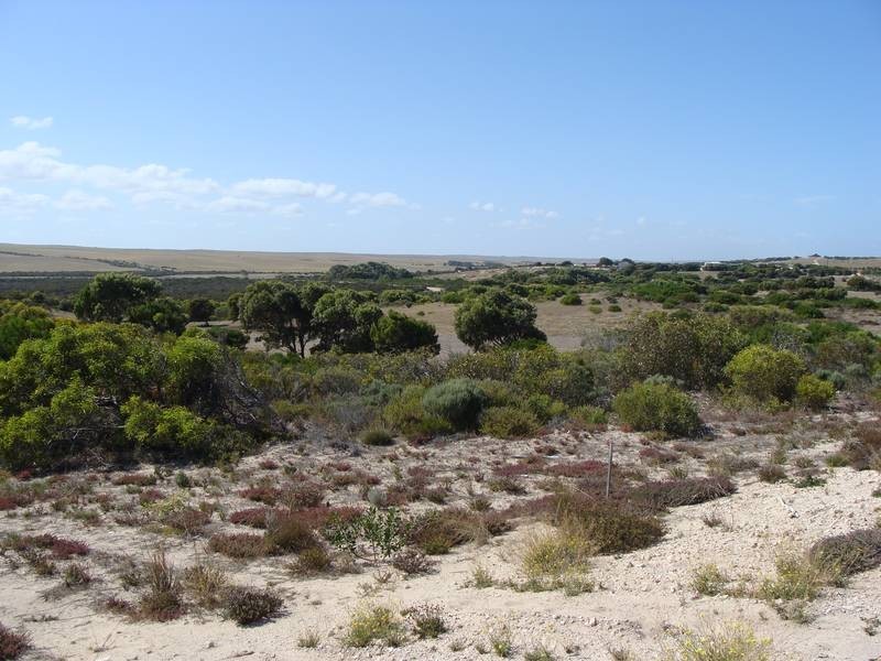 Lot 32,  Wandana Road, Elliston SA 5670