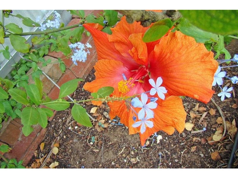 47 Normandy Place, Port Lincoln SA 5606