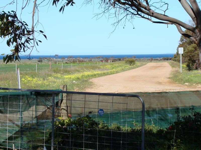 64 South Terrace, Lipson SA 5607