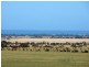 Lot 3, Mine Hill Road, Tumby Bay SA 5605