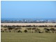 Lot 3, Mine Hill Road, Tumby Bay SA 5605