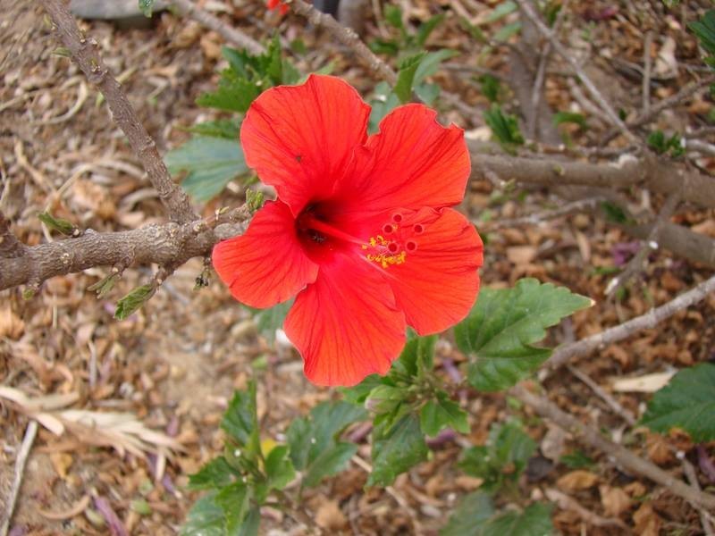 28 Bruce Terrace, Cummins SA 5631