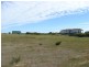Lot Sec 171, 171 Taylor Rd, Wangary SA 5607