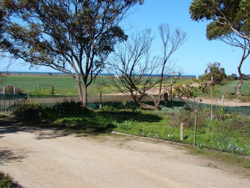 Lot 64, 64 South Terrace, Lipson SA 5607