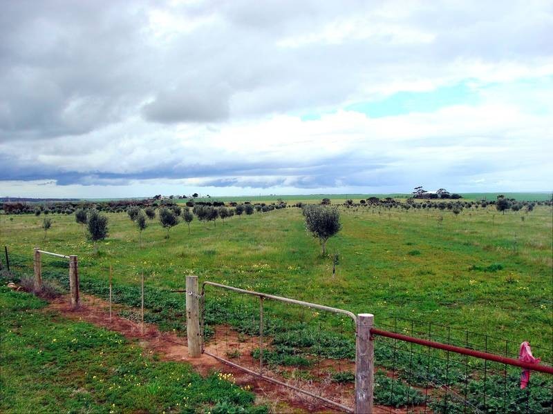 404 Moonlight Bay Road, Louth Bay SA 5607