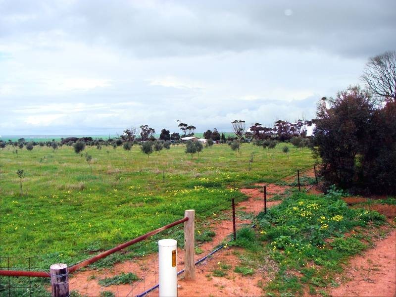 404 Moonlight Bay Road, Louth Bay SA 5607